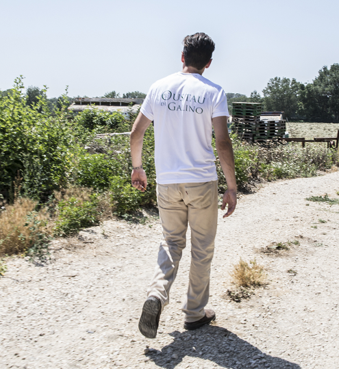 Photo de clément Lajoux de dos sur le chemin d'accès de son exploitation