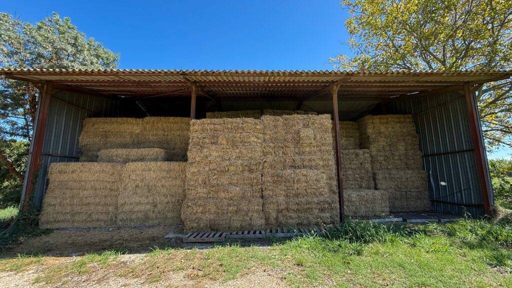 Bottes de foin de Crau AOP bio empilées sous hangar métallique à Arles