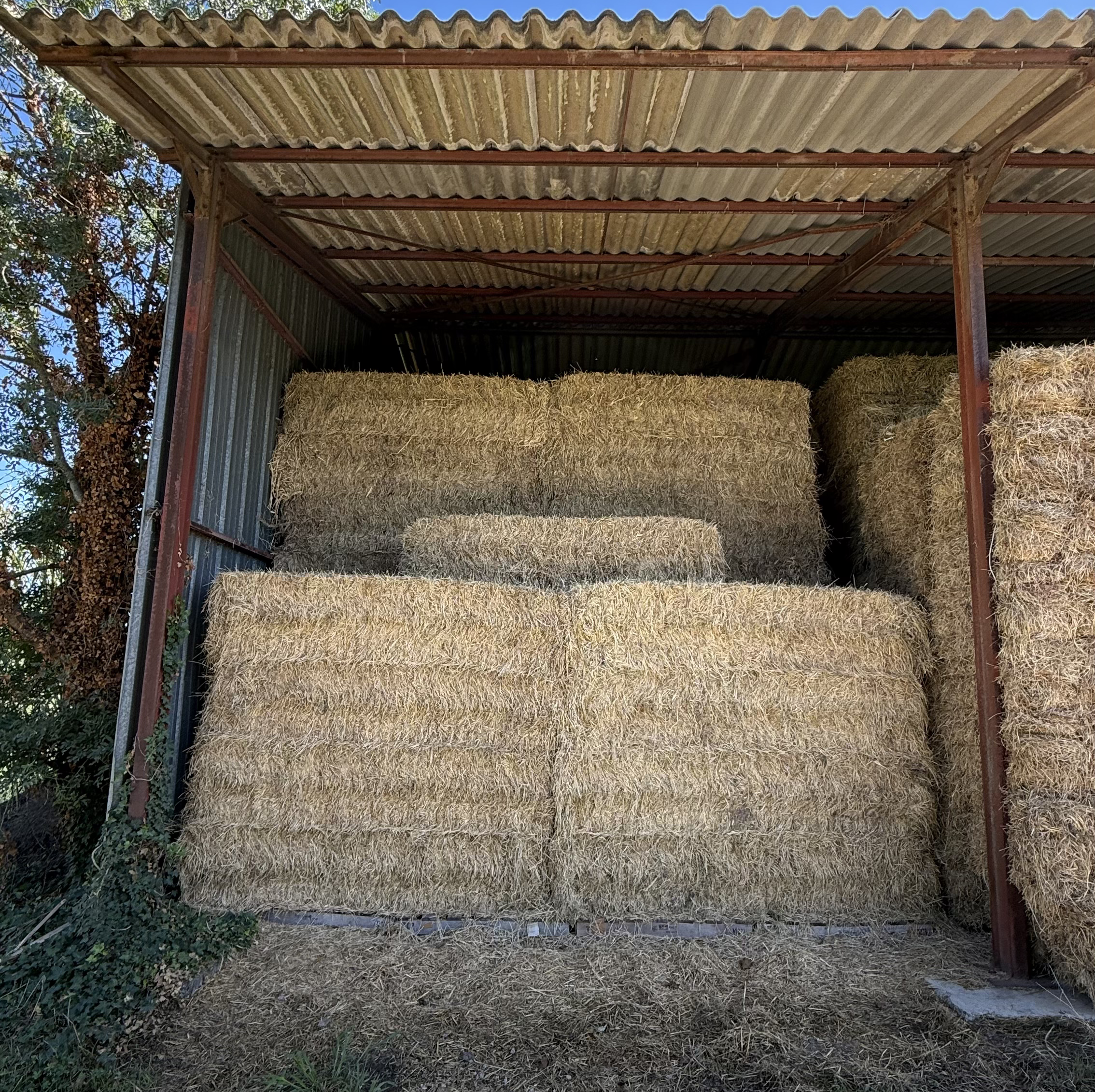 Bottes de foin de Crau AOP bio stockées dans la grange de L’Oustau di Galino à Raphèle-lès-Arles
