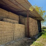 Stockage de bottes de foin de Crau AOP bio sous hangar agricole à Arles