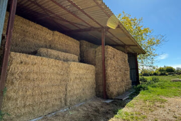 Stockage de bottes de foin de Crau AOP bio sous hangar agricole à Arles